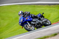 PJ-Motorsport-2019;anglesey;brands-hatch;cadwell-park;croft;donington-park;enduro-digital-images;event-digital-images;eventdigitalimages;mallory;no-limits;oulton-park;peter-wileman-photography;racing-digital-images;silverstone;snetterton;trackday-digital-images;trackday-photos;vmcc-banbury-run;welsh-2-day-enduro